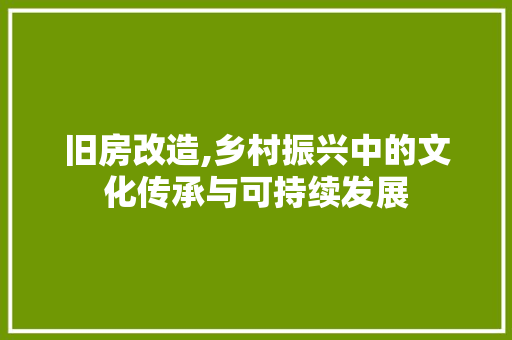 旧房改造,乡村振兴中的文化传承与可持续发展