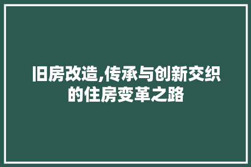 旧房改造,传承与创新交织的住房变革之路