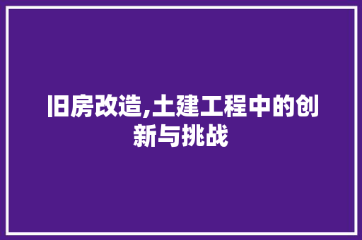 旧房改造,土建工程中的创新与挑战