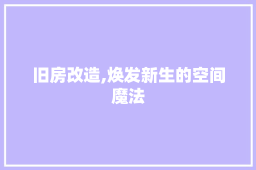 旧房改造,焕发新生的空间魔法