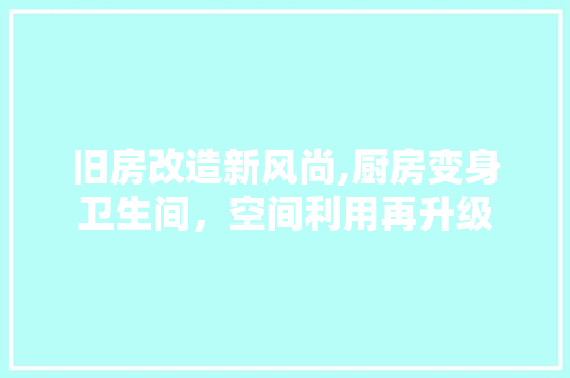 旧房改造新风尚,厨房变身卫生间，空间利用再升级