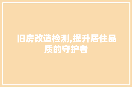 旧房改造检测,提升居住品质的守护者