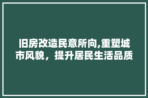 旧房改造民意所向,重塑城市风貌，提升居民生活品质