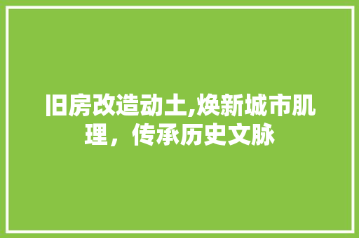 旧房改造动土,焕新城市肌理，传承历史文脉