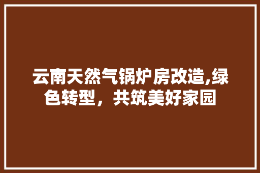 云南天然气锅炉房改造,绿色转型，共筑美好家园