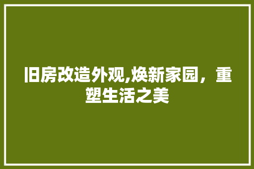 旧房改造外观,焕新家园，重塑生活之美