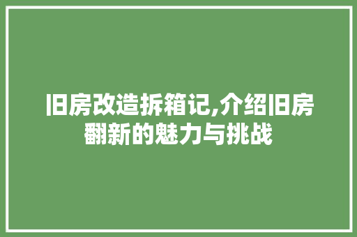 旧房改造拆箱记,介绍旧房翻新的魅力与挑战 门窗装修