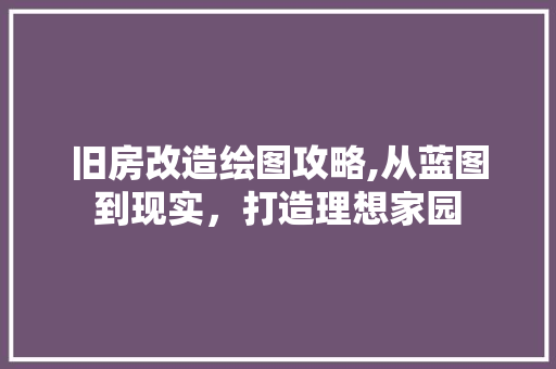 旧房改造绘图攻略,从蓝图到现实，打造理想家园