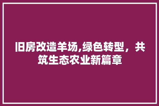 旧房改造羊场,绿色转型，共筑生态农业新篇章
