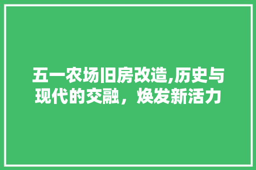 五一农场旧房改造,历史与现代的交融，焕发新活力