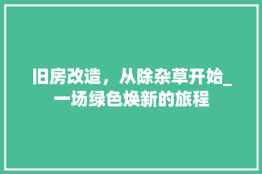 旧房改造，从除杂草开始_一场绿色焕新的旅程