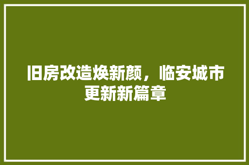 旧房改造焕新颜，临安城市更新新篇章