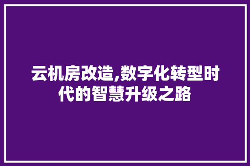 云机房改造,数字化转型时代的智慧升级之路