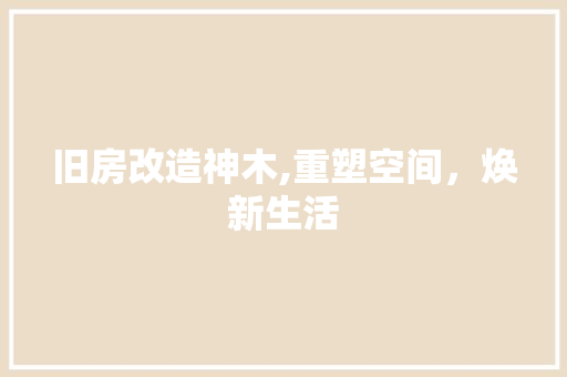 旧房改造神木,重塑空间，焕新生活