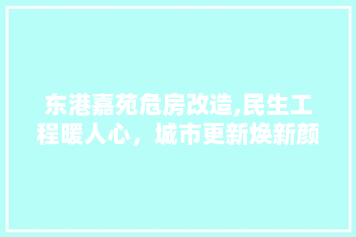 东港嘉苑危房改造,民生工程暖人心，城市更新焕新颜