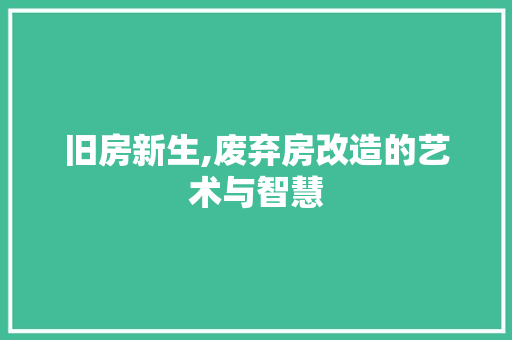 旧房新生,废弃房改造的艺术与智慧