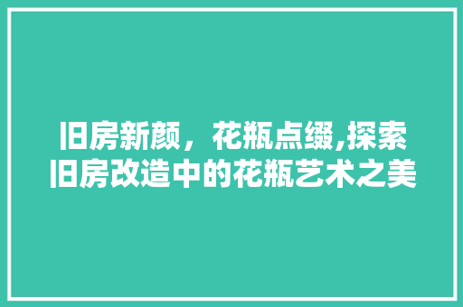 旧房新颜，花瓶点缀,探索旧房改造中的花瓶艺术之美