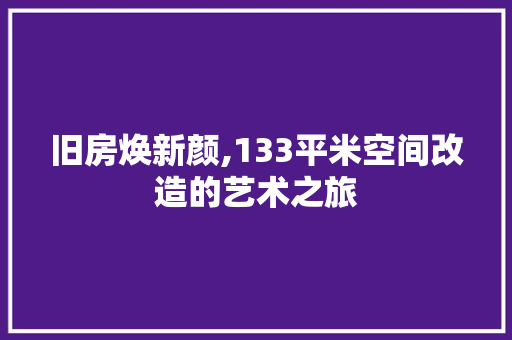 旧房焕新颜,133平米空间改造的艺术之旅