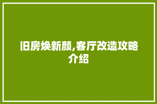 旧房焕新颜,客厅改造攻略介绍