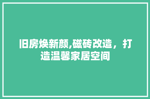 旧房焕新颜,磁砖改造，打造温馨家居空间