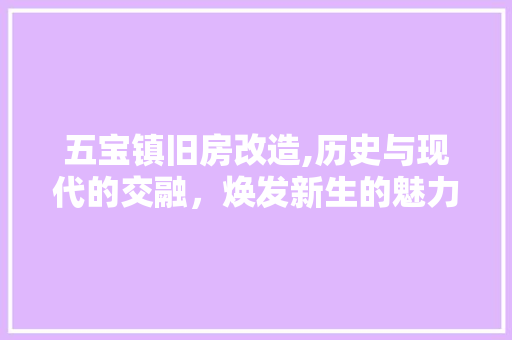 五宝镇旧房改造,历史与现代的交融，焕发新生的魅力