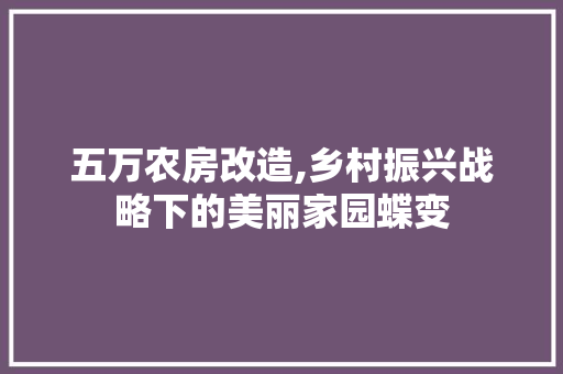 五万农房改造,乡村振兴战略下的美丽家园蝶变