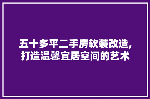 五十多平二手房软装改造,打造温馨宜居空间的艺术