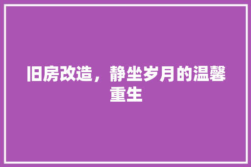 旧房改造，静坐岁月的温馨重生