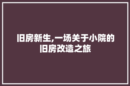 旧房新生,一场关于小院的旧房改造之旅