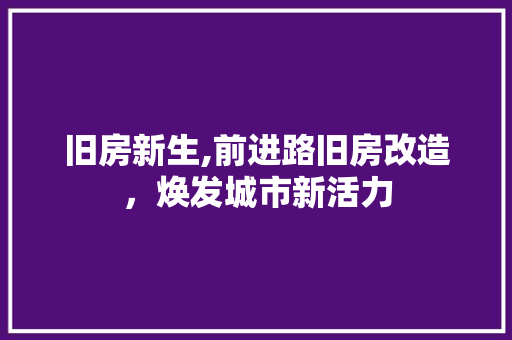 旧房新生,前进路旧房改造，焕发城市新活力