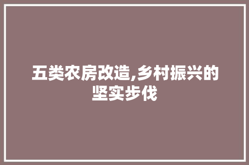 五类农房改造,乡村振兴的坚实步伐