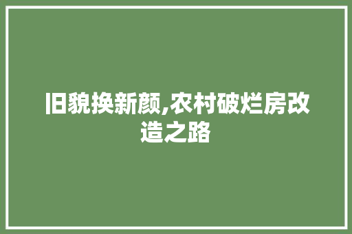旧貌换新颜,农村破烂房改造之路