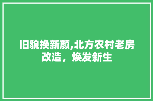 旧貌换新颜,北方农村老房改造，焕发新生