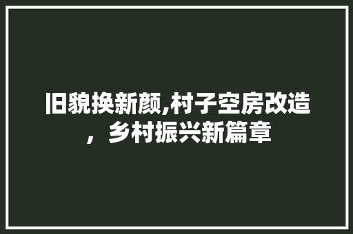 旧貌换新颜,村子空房改造，乡村振兴新篇章