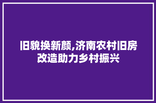 旧貌换新颜,济南农村旧房改造助力乡村振兴