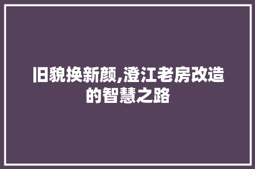 旧貌换新颜,澄江老房改造的智慧之路