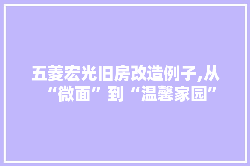 五菱宏光旧房改造例子,从“微面”到“温馨家园”