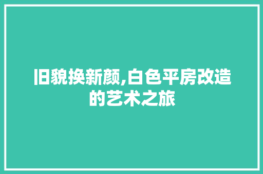 旧貌换新颜,白色平房改造的艺术之旅 装修材料