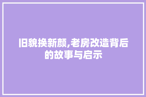 旧貌换新颜,老房改造背后的故事与启示