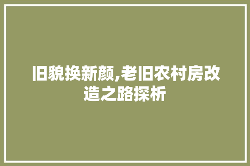 旧貌换新颜,老旧农村房改造之路探析