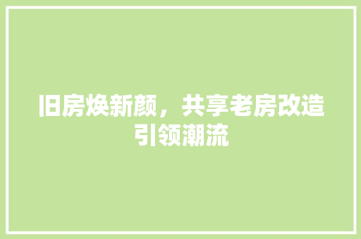 旧房焕新颜，共享老房改造引领潮流