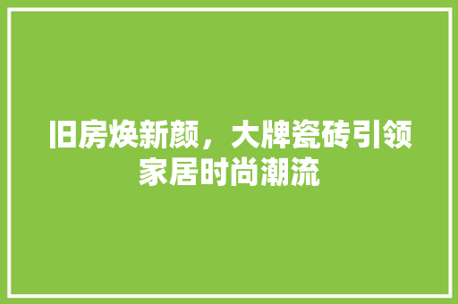 旧房焕新颜，大牌瓷砖引领家居时尚潮流
