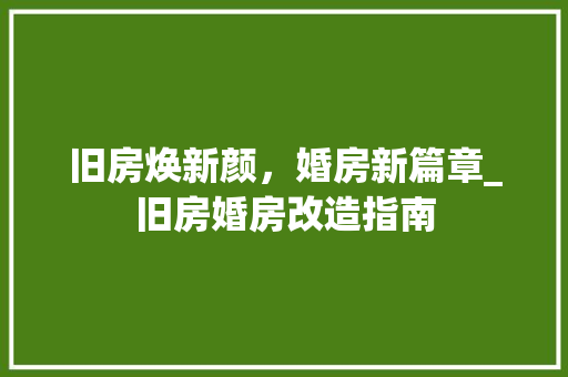 旧房焕新颜，婚房新篇章_旧房婚房改造指南