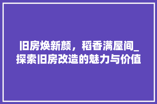 旧房焕新颜，稻香满屋间_探索旧房改造的魅力与价值