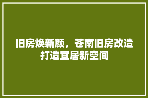 旧房焕新颜，苍南旧房改造打造宜居新空间