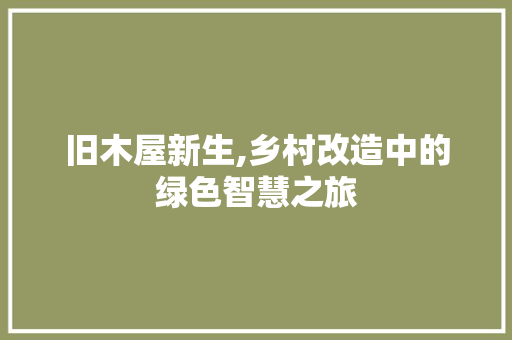 旧木屋新生,乡村改造中的绿色智慧之旅
