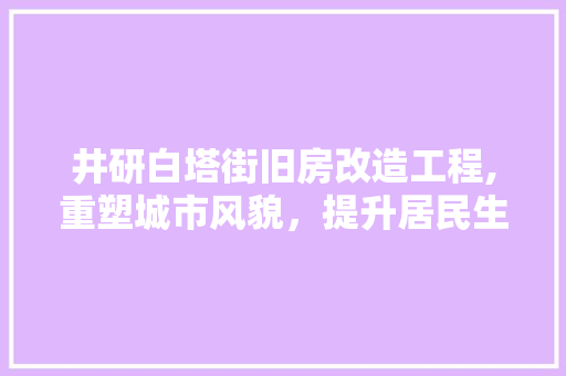 井研白塔街旧房改造工程,重塑城市风貌，提升居民生活品质