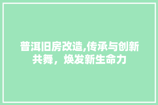 普洱旧房改造,传承与创新共舞，焕发新生命力