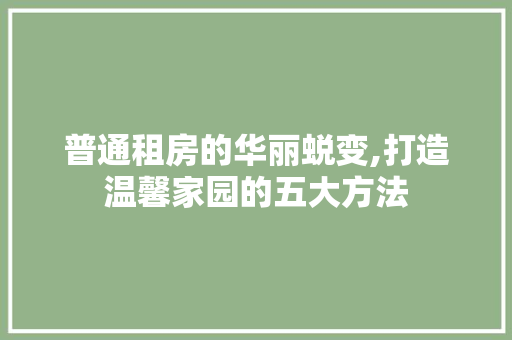 普通租房的华丽蜕变,打造温馨家园的五大方法