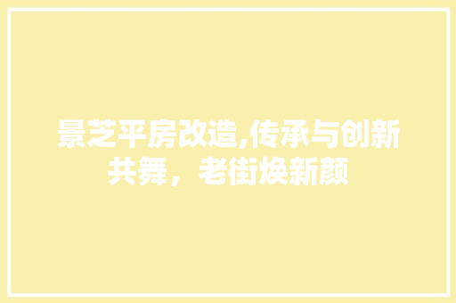 景芝平房改造,传承与创新共舞，老街焕新颜
